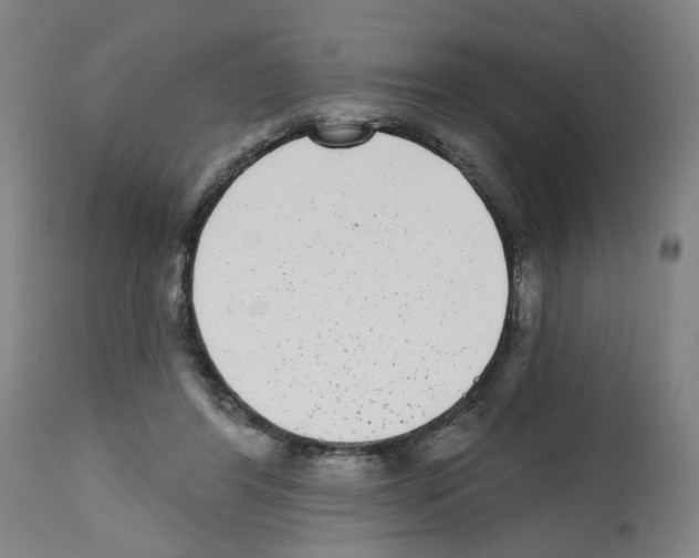 X0000112480404200909281114