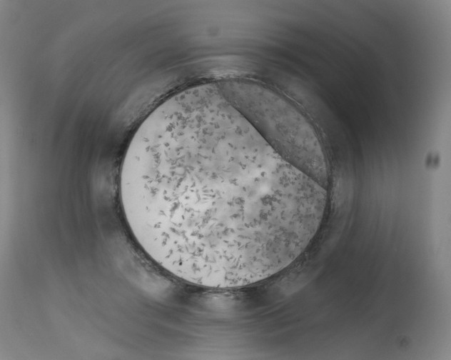 X0000112480405200909281114