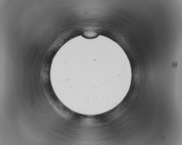 X0000112480408200909281114