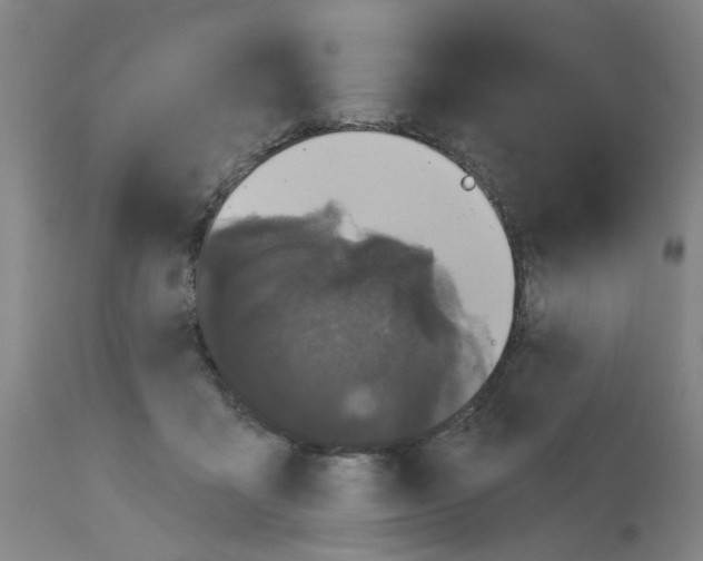 X0000112480411200909281114