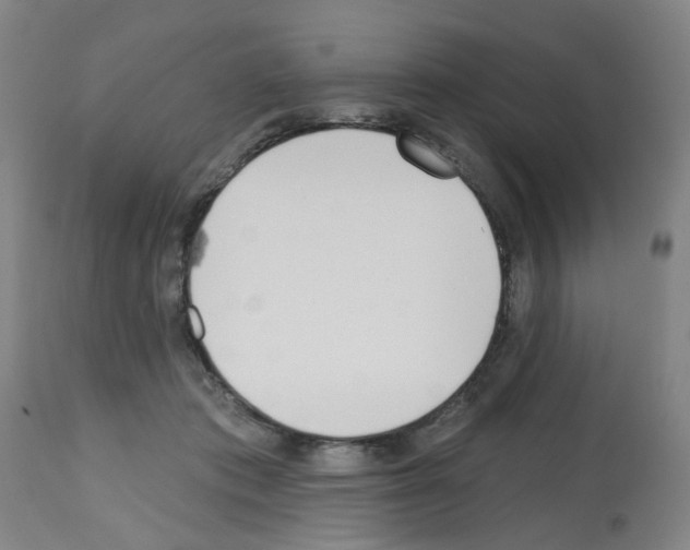 X0000112480413200909281114