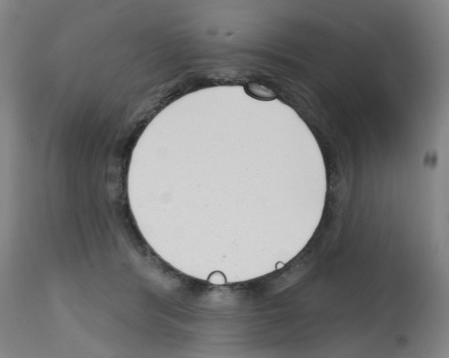 X0000112480416200909281114