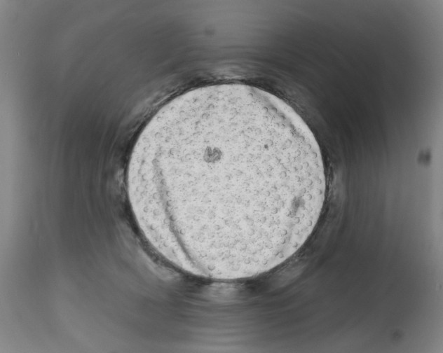 X0000112480418200909281114