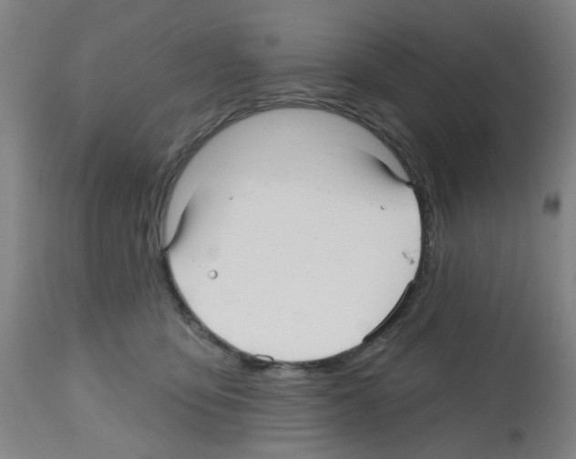 X0000112480419200909281114