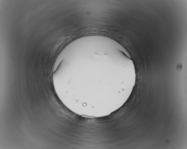 X0000112480423200909281114