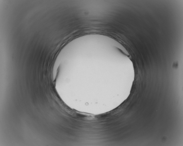 X0000112480425200909281114