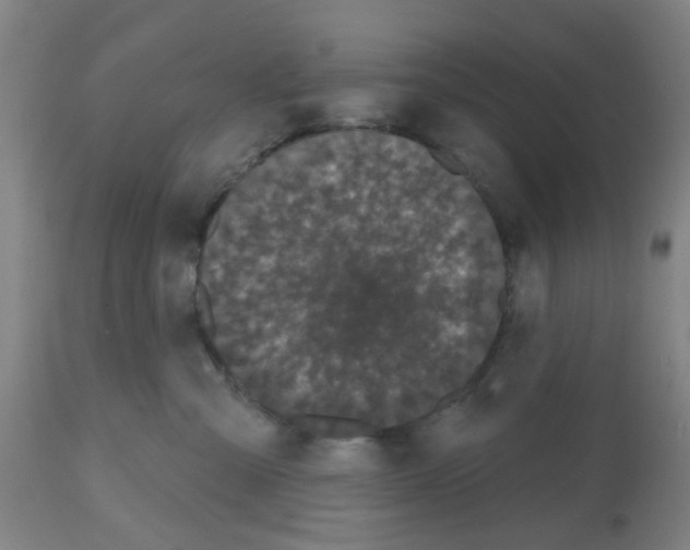 X0000112480427200909281114