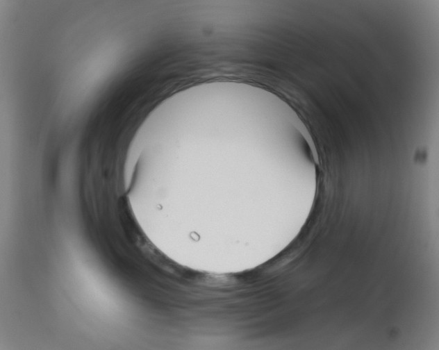 X0000112480429200909281114