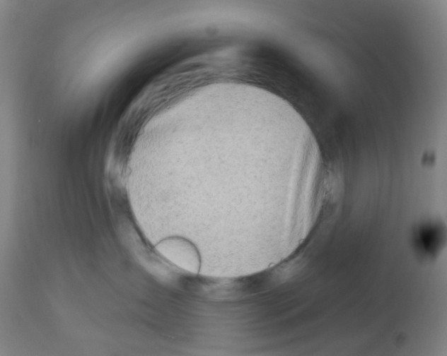 X0000112480431200909281114