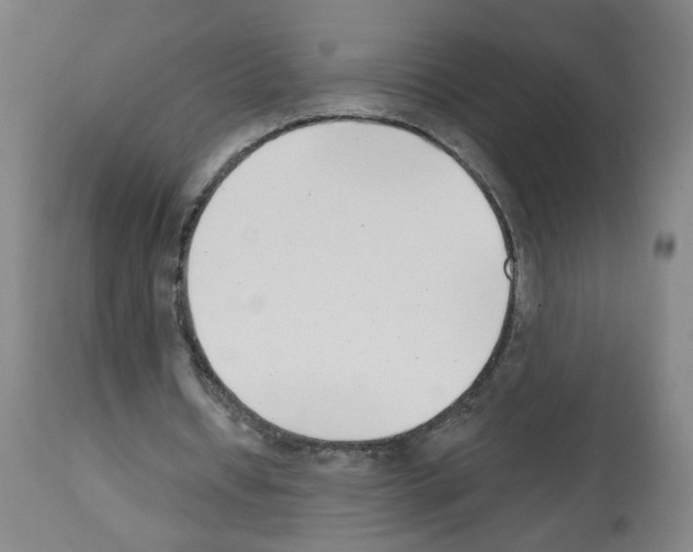 X0000112480434200909281113