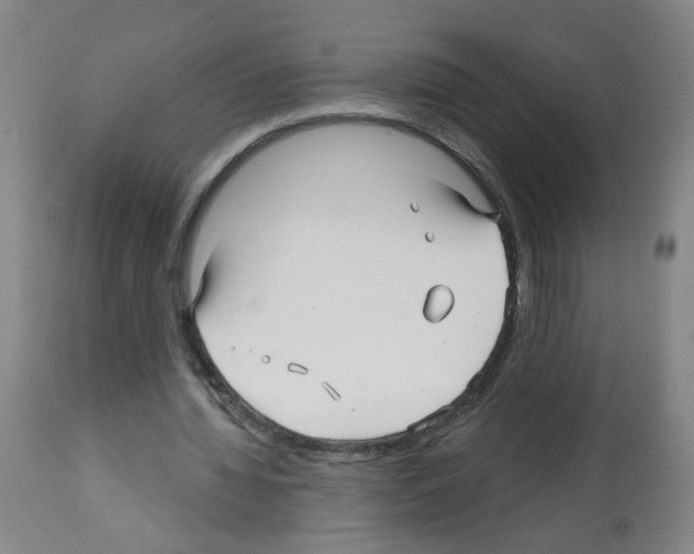 X0000112480436200909281113