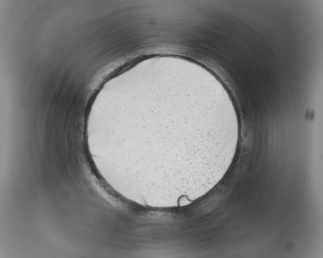 X0000112480437200909281113