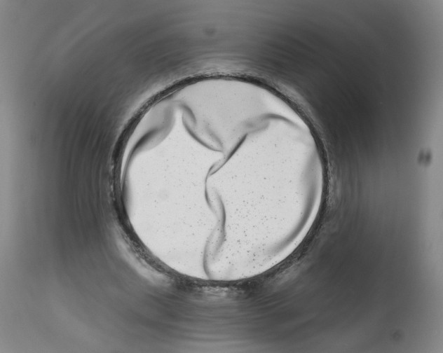 X0000112480439200909281113