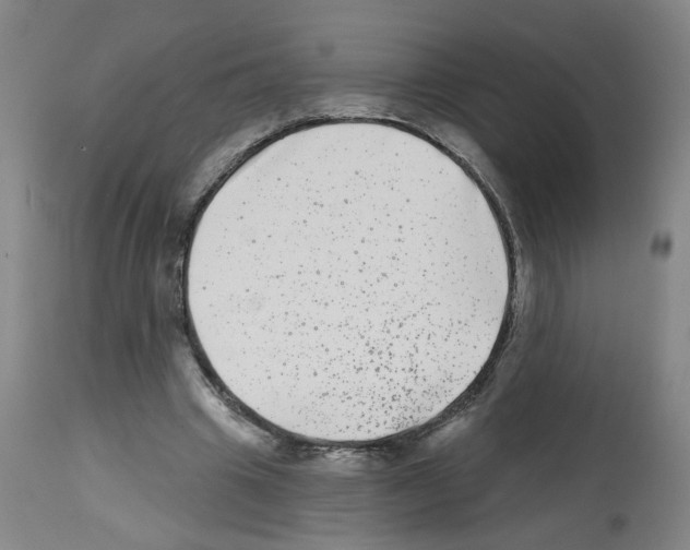 X0000112480441200909281113