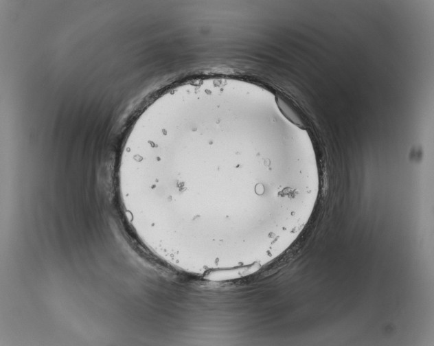 X0000112480444200909281113