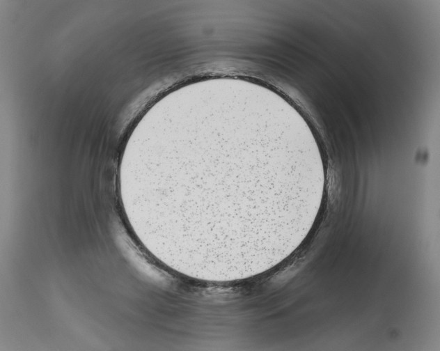 X0000112480445200909281113