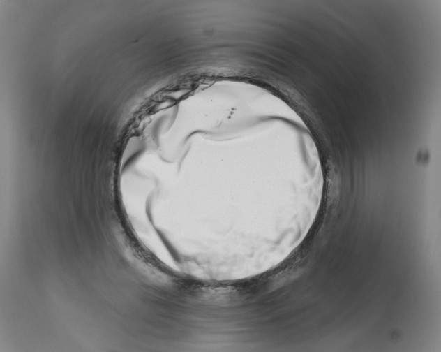 X0000112480446200909281113