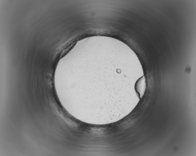 X0000112480450200909281113