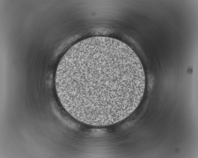 X0000112480451200909281113