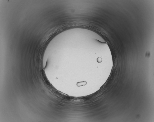 X0000112480452200909281113