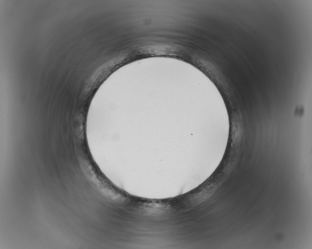 X0000112480453200909281113