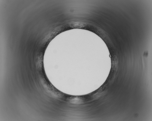 X0000112480460200909281113