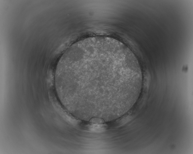 X0000112480465200909281113