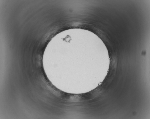 X0000112480470200909281113