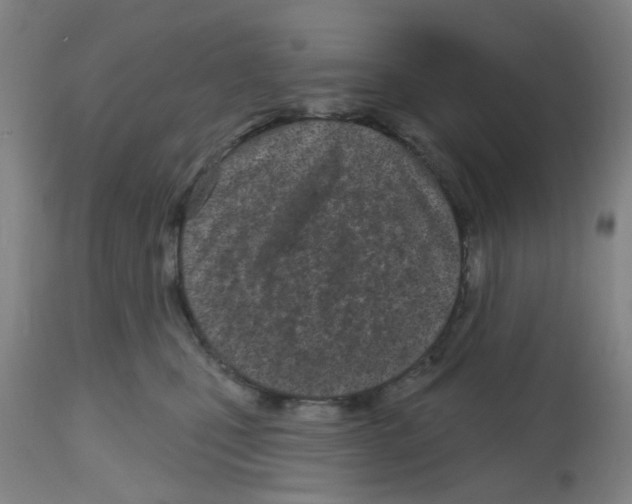 X0000112480471200909281114