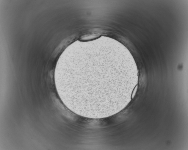 X0000112480473200909281114