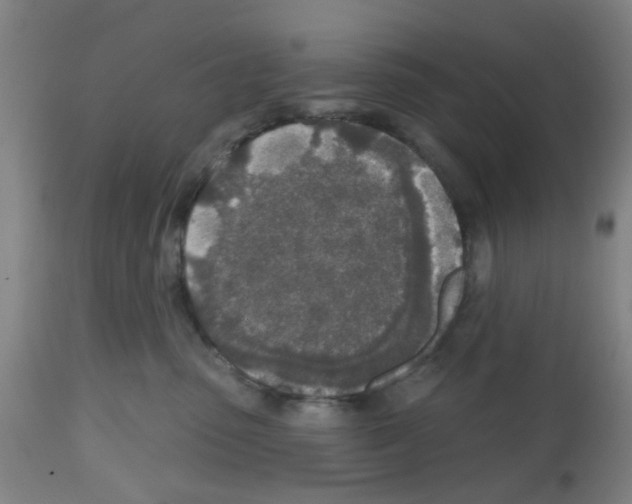 X0000112480475200909281114