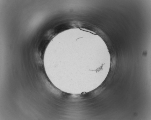 X0000112480477200909281114