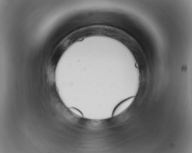 X0000112480479200909281114