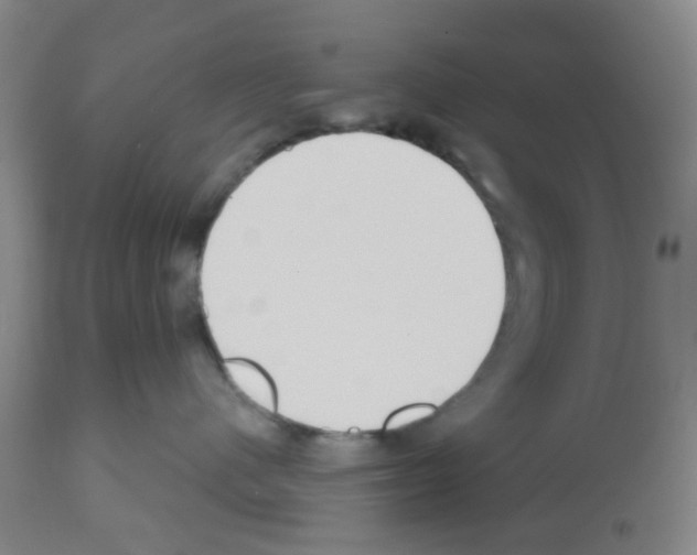 X0000112480480200909281114