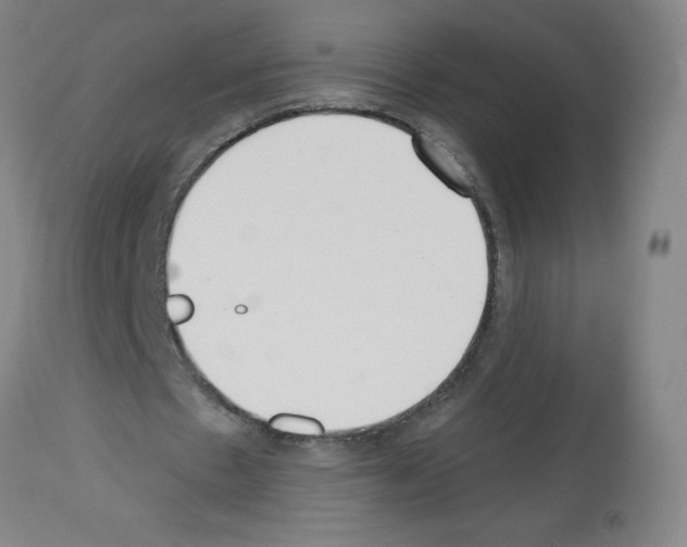 X0000112480481200909281113