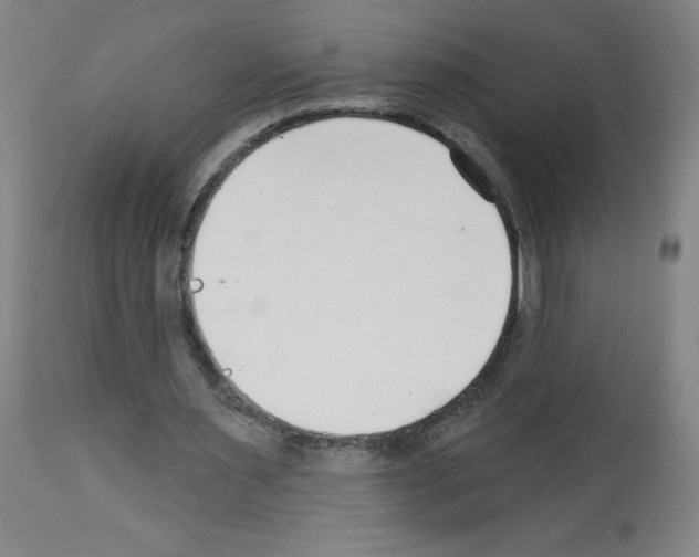 X0000112480483200909281113