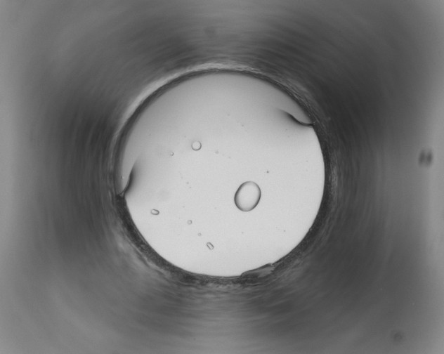 X0000112480484200909281113