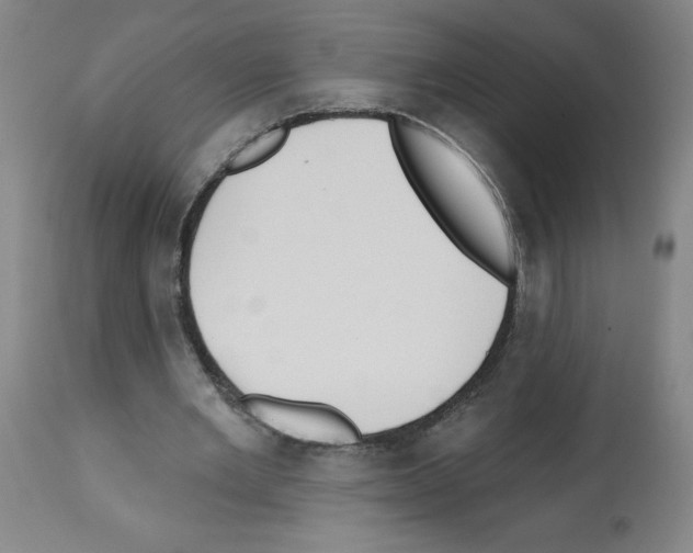 X0000112480485200909281113