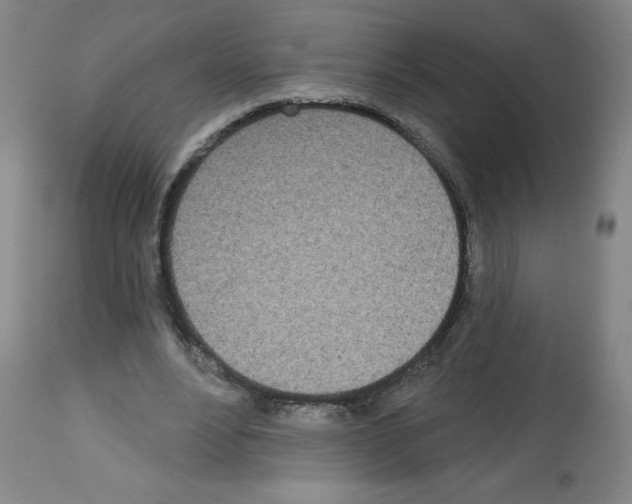 X0000112480488200909281113