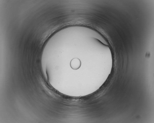 X0000112480493200909281113