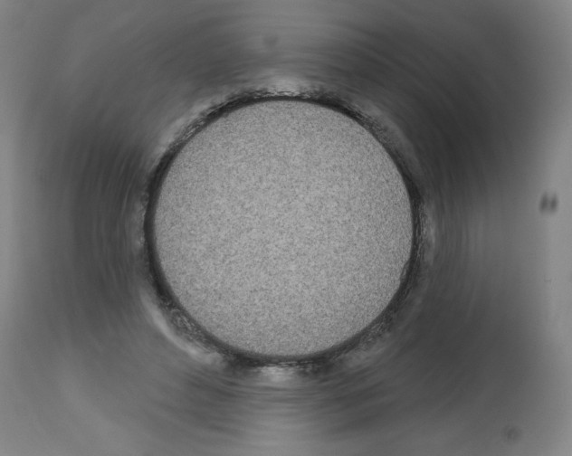 X0000112480496200909281113