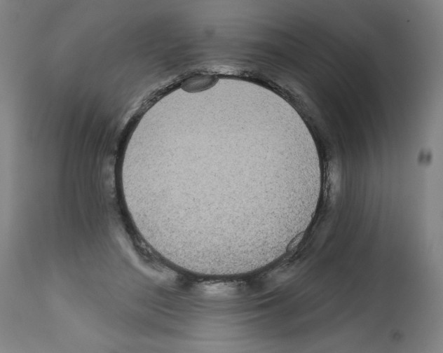 X0000112480500200909281112