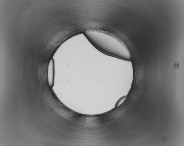 X0000112480501200909281112