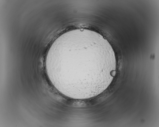 X0000112480506200909281112