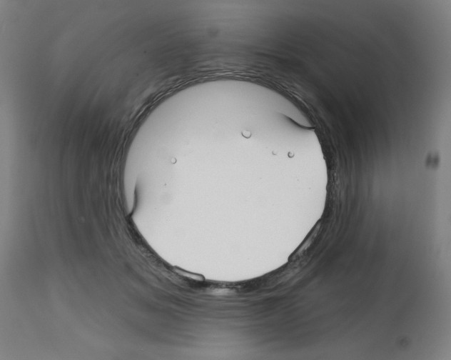 X0000112480509200909281112