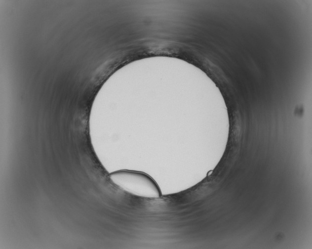 X0000112480513200909281112