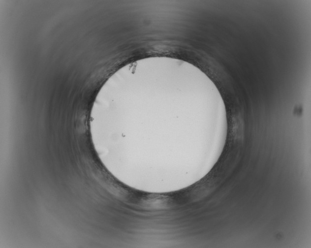 X0000112480514200909281112