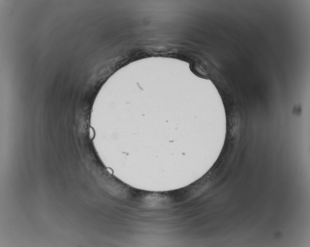 X0000112480515200909281112