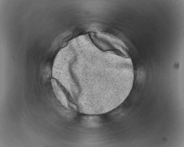 X0000112480517200909281112