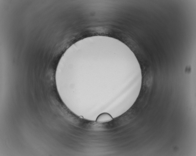 X0000112480518200909281112